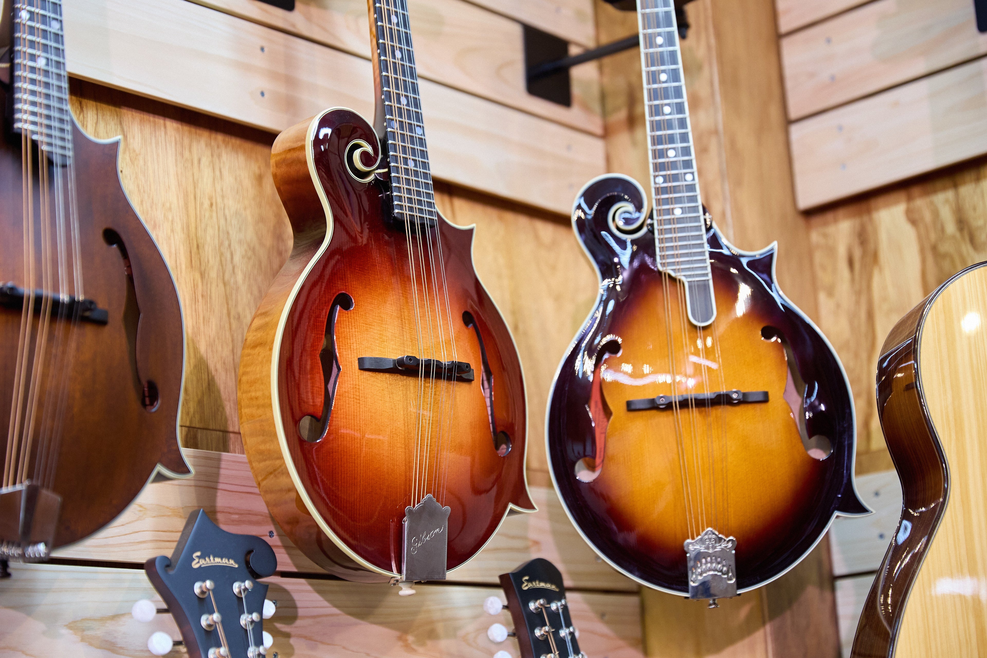 Mandolins