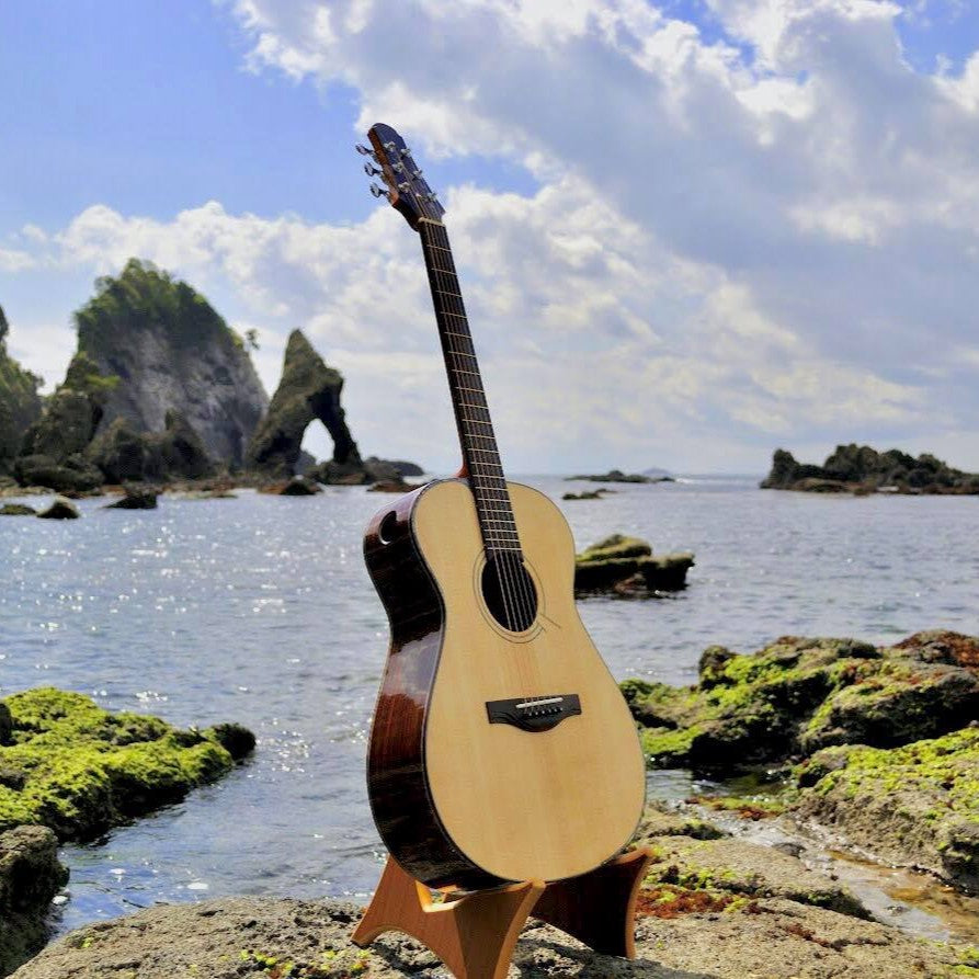 Voyager Guitars