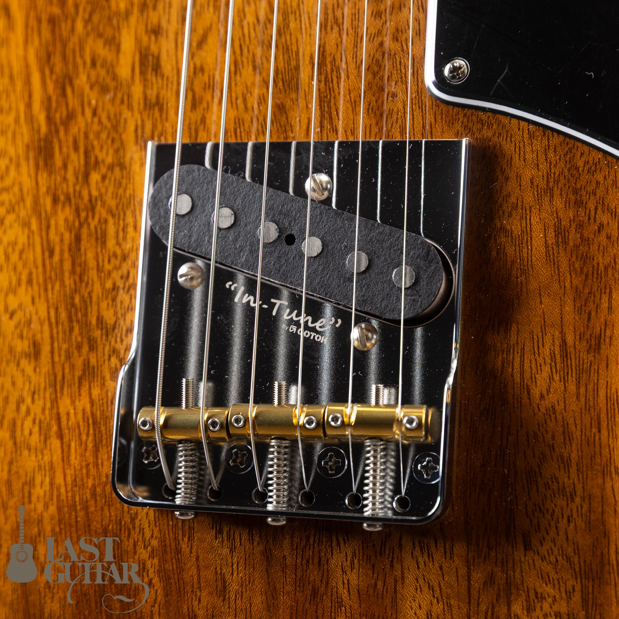 ALCEDO GUITARS Custom ATL All Mahogany