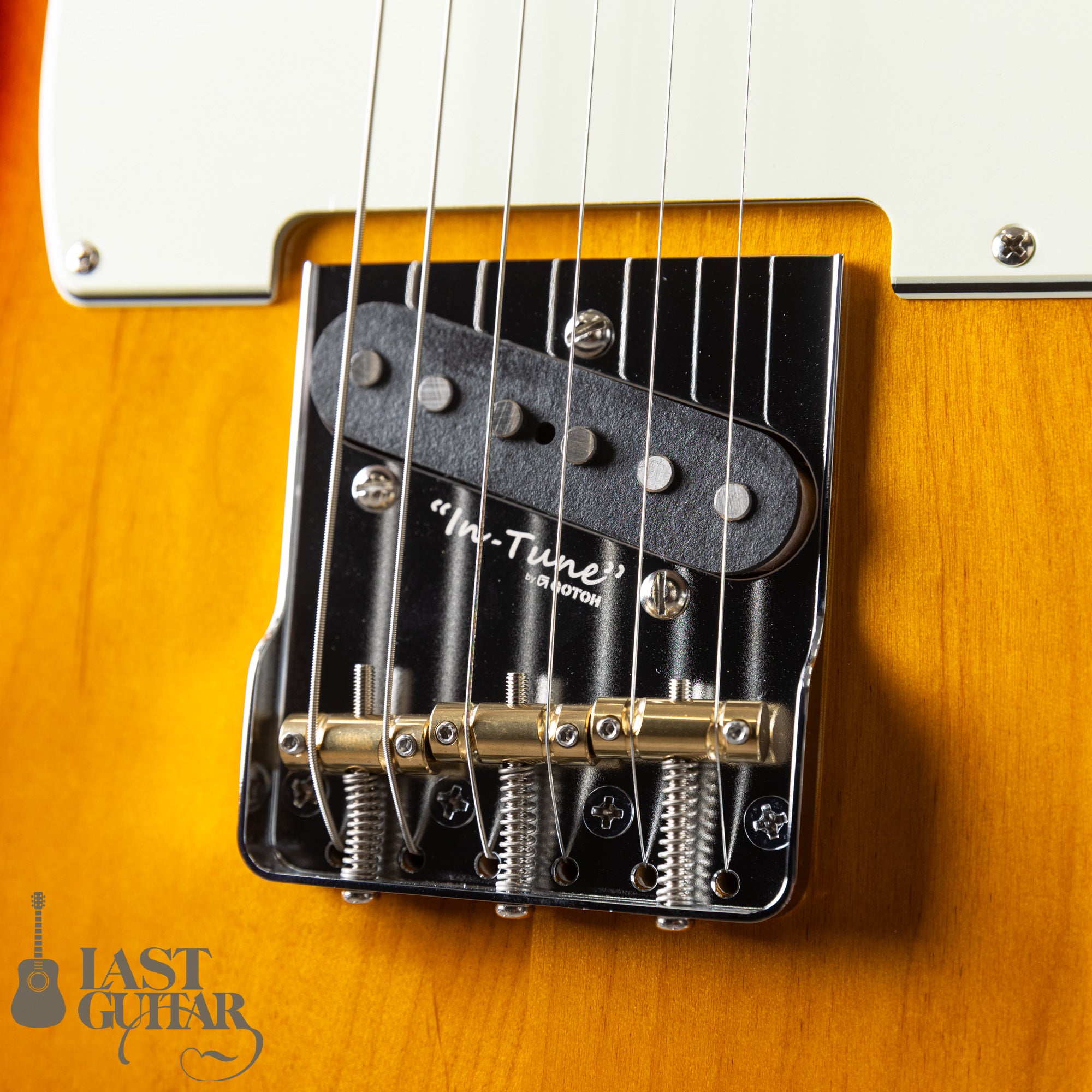 ALCEDO GUITARS Custom ATL Modern