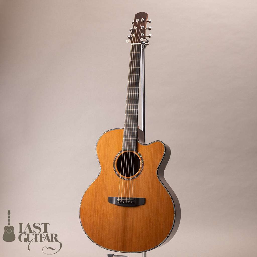 ASTURIAS Grand Solo 20th Anni. CC