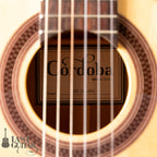Cordoba Guiatrs GK Studio 2020s