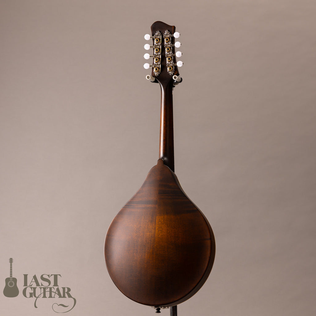 Eastman MD305 Classic