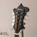 Eastman MD315 Classic