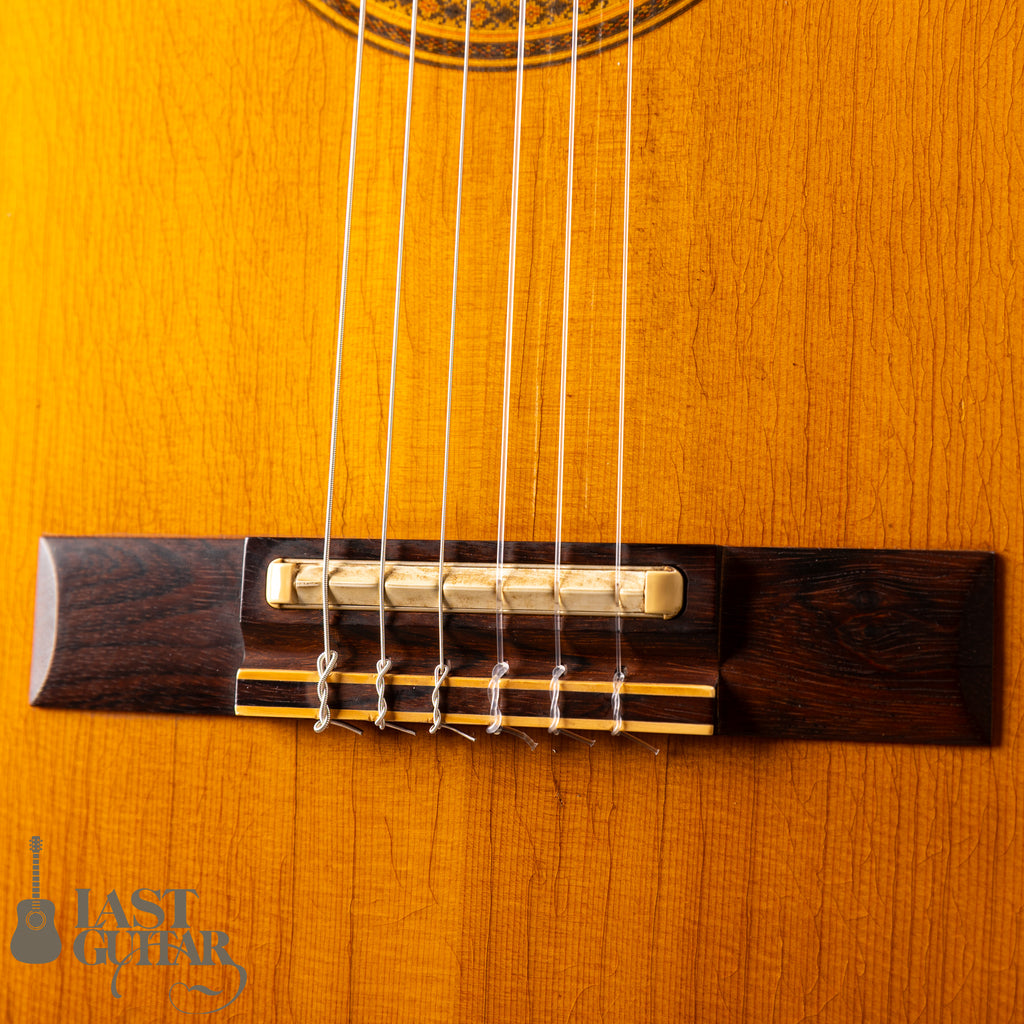 Gibson Chet Atkins CE ’91