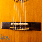 Gibson Chet Atkins CE ’91