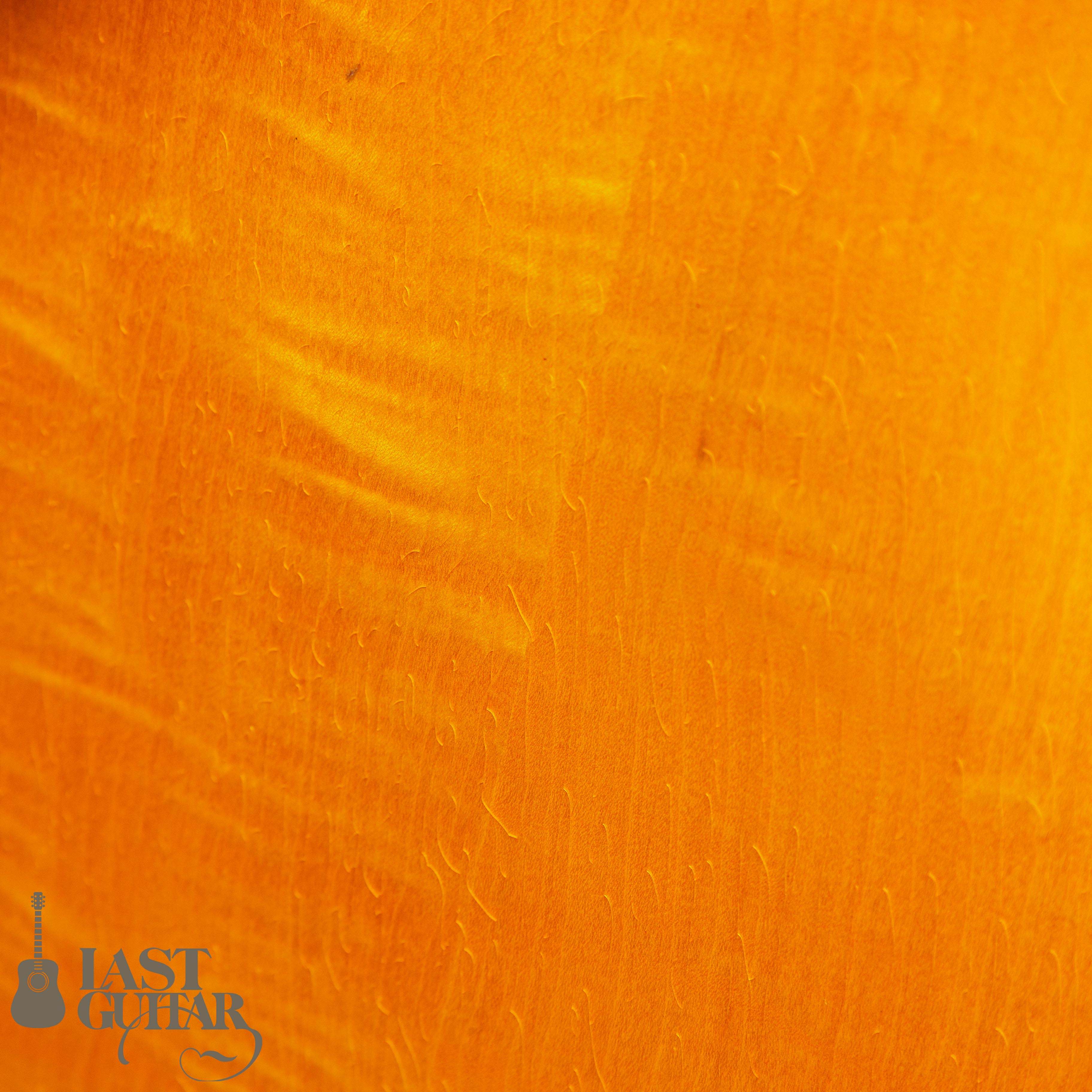 Gibson ES-350T ’59