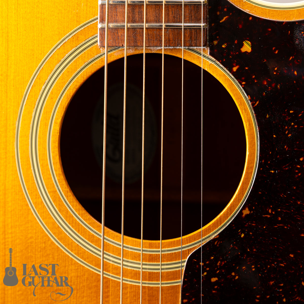 Guild D-40C