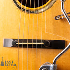 waneko Guitars Type-Vibrato D