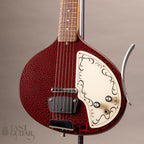 Jerry Jones Baby Sitar