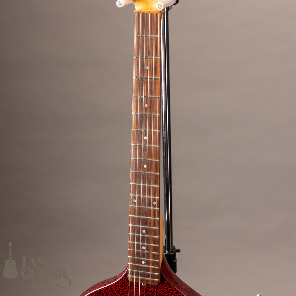 Jerry Jones Baby Sitar