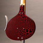 Jerry Jones Baby Sitar