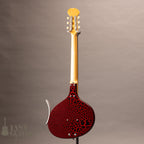 Jerry Jones Baby Sitar