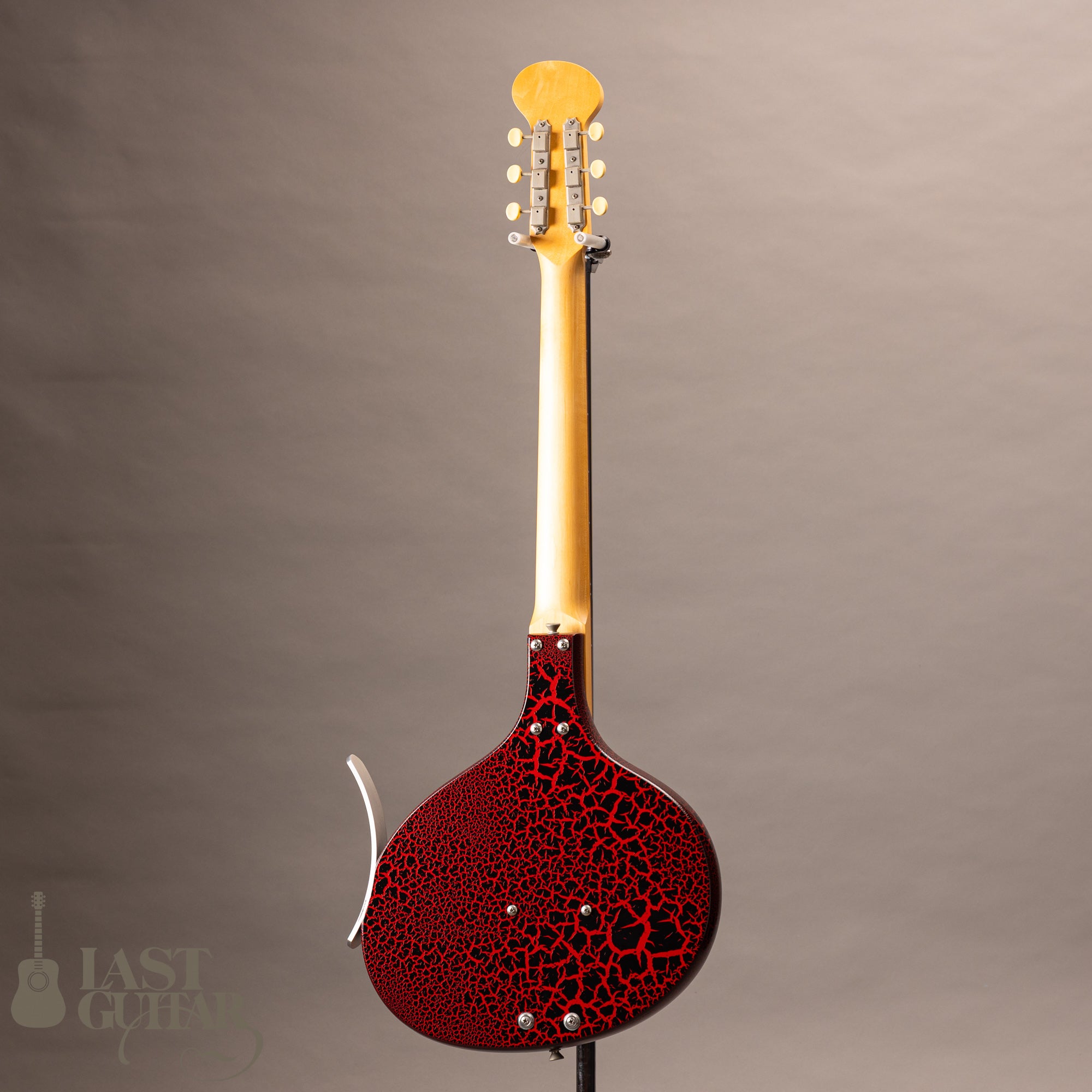 Jerry Jones Baby Sitar