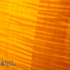 Kyodai Higuchi Wagtail 15" Adirondack Spruce Top
