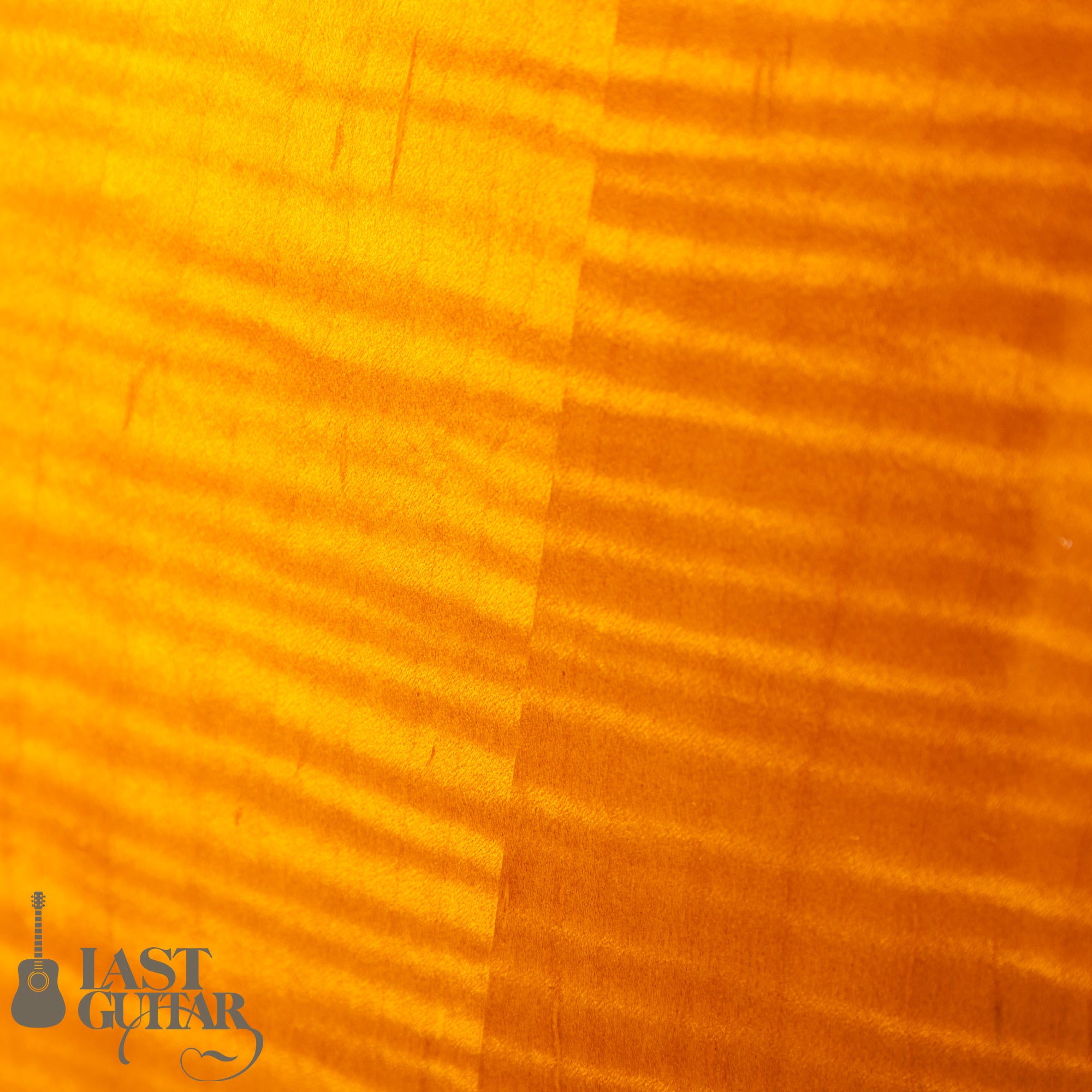 Kyodai Higuchi Wagtail 15" Adirondack Spruce Top