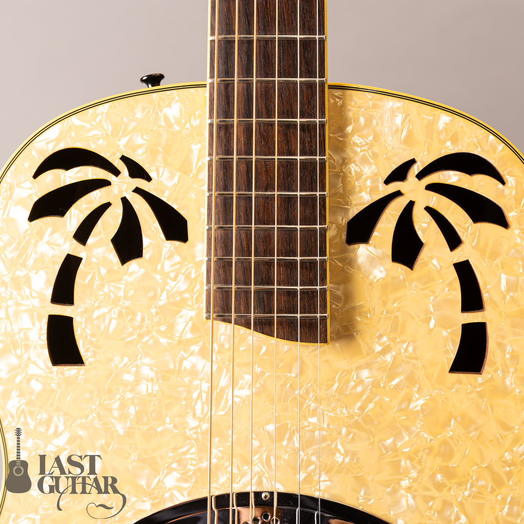 Ovation Celebrity Resonator CD100-WP