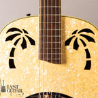 Ovation Celebrity Resonator CD100-WP