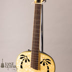 Ovation Celebrity Resonator CD100-WP