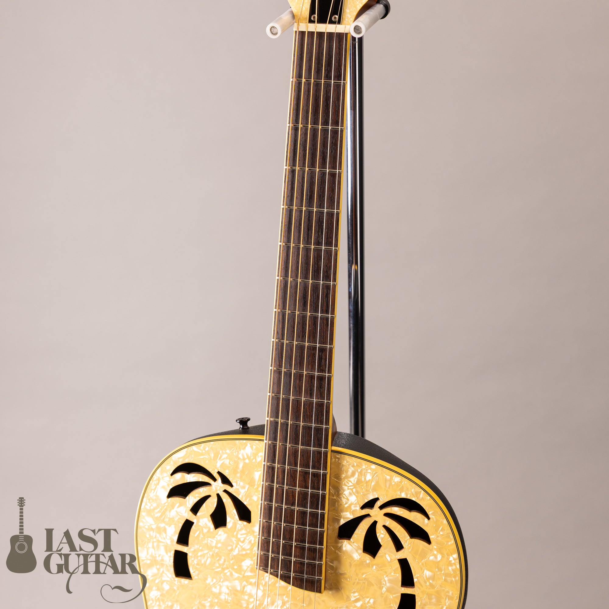 Ovation Celebrity Resonator CD100-WP