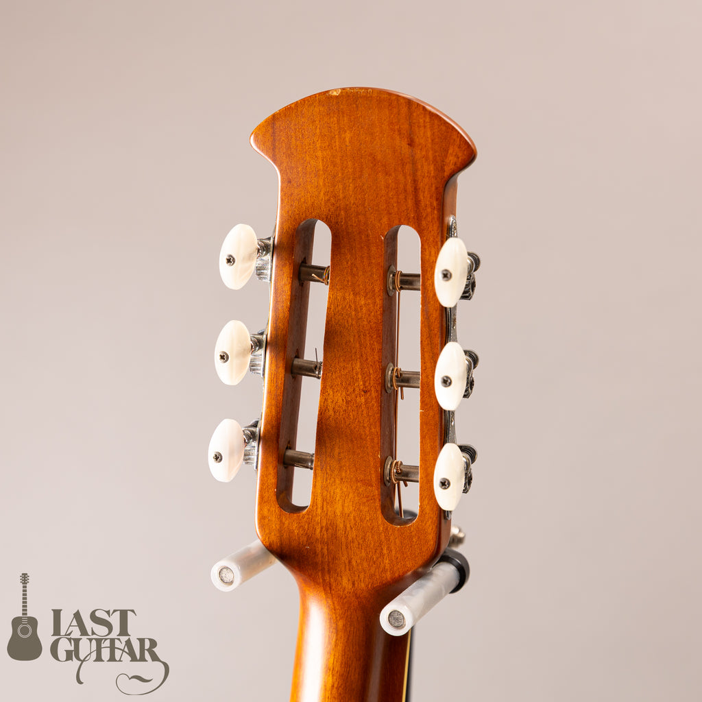Ovation Celebrity Resonator CD100-WP