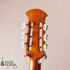 Ovation Celebrity Resonator CD100-WP