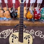 Ovation Celebrity Resonator CD100-WP