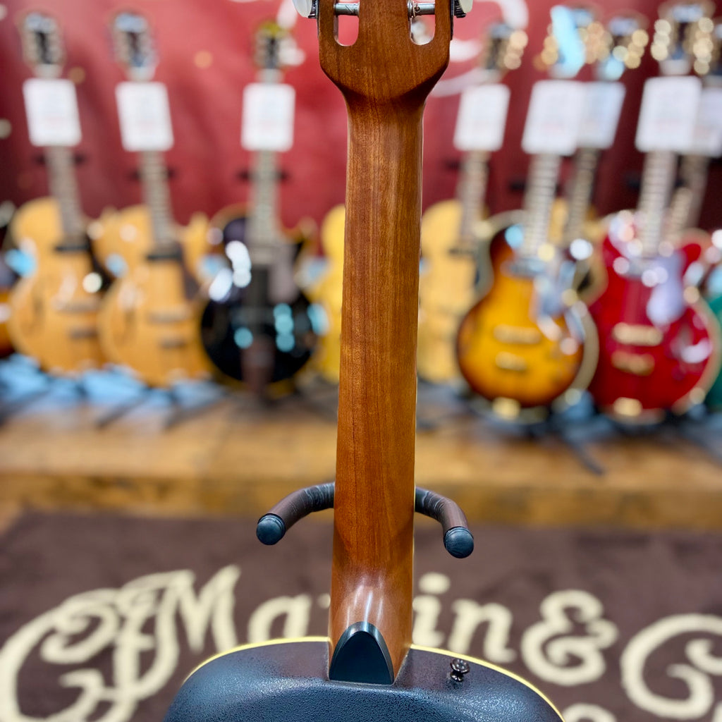 Ovation Celebrity Resonator CD100-WP