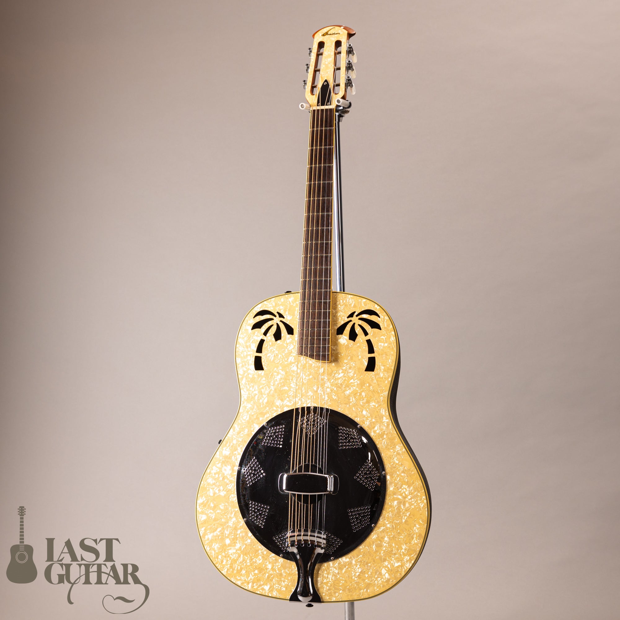 Ovation Celebrity Resonator CD100-WP