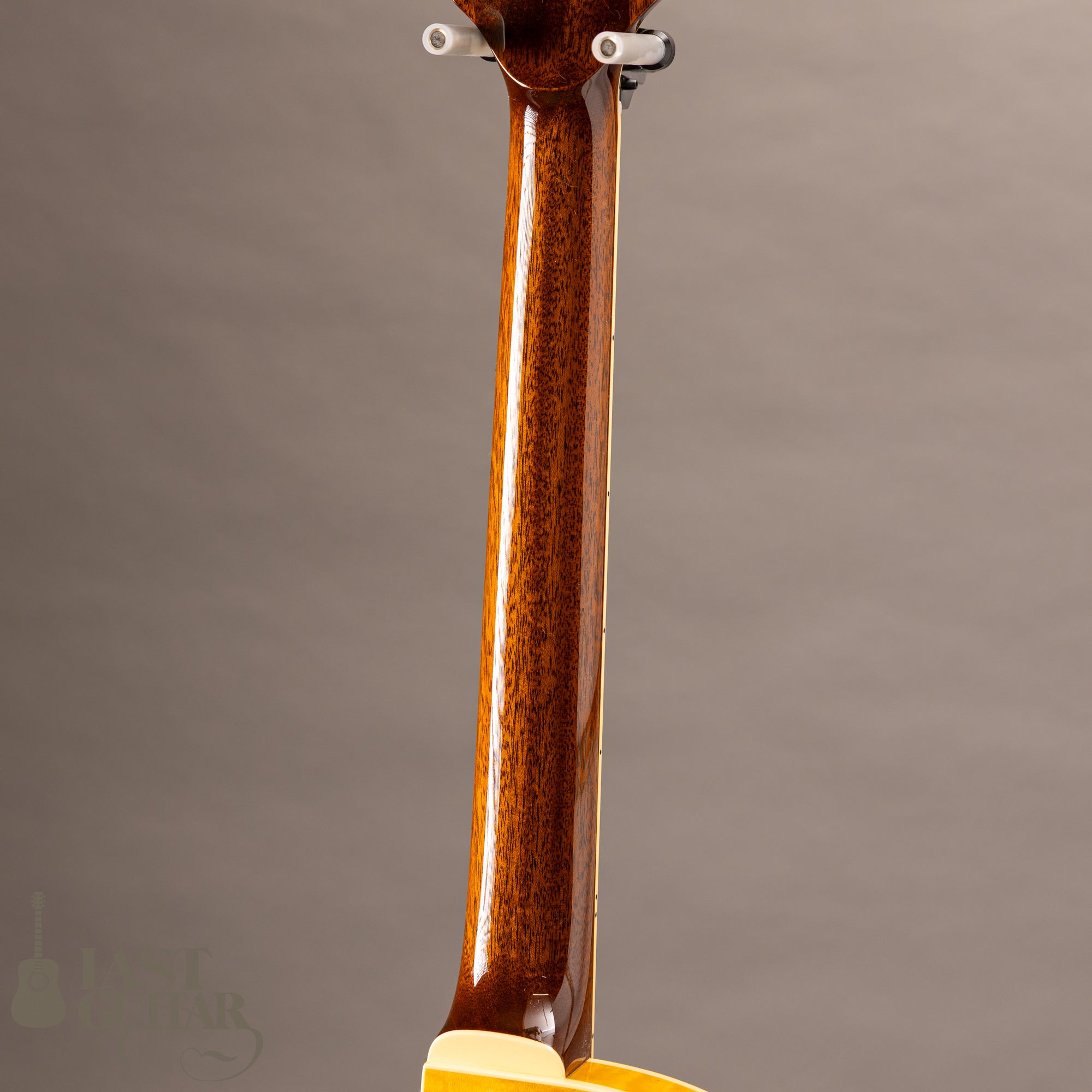 Rozeo Ladybug-CB CM HB/SS/Vintage Amber