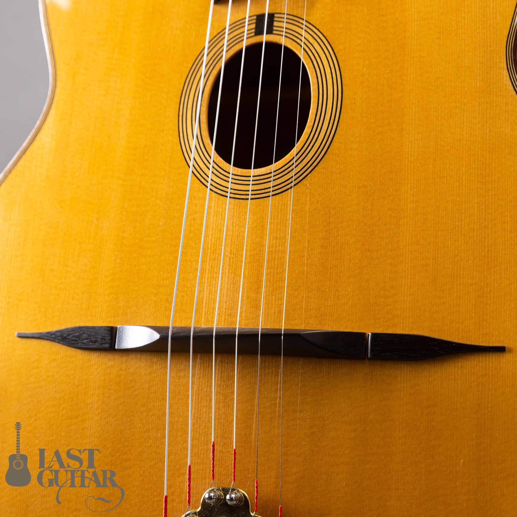 Shelley D. Park Encore Santos Rosewood