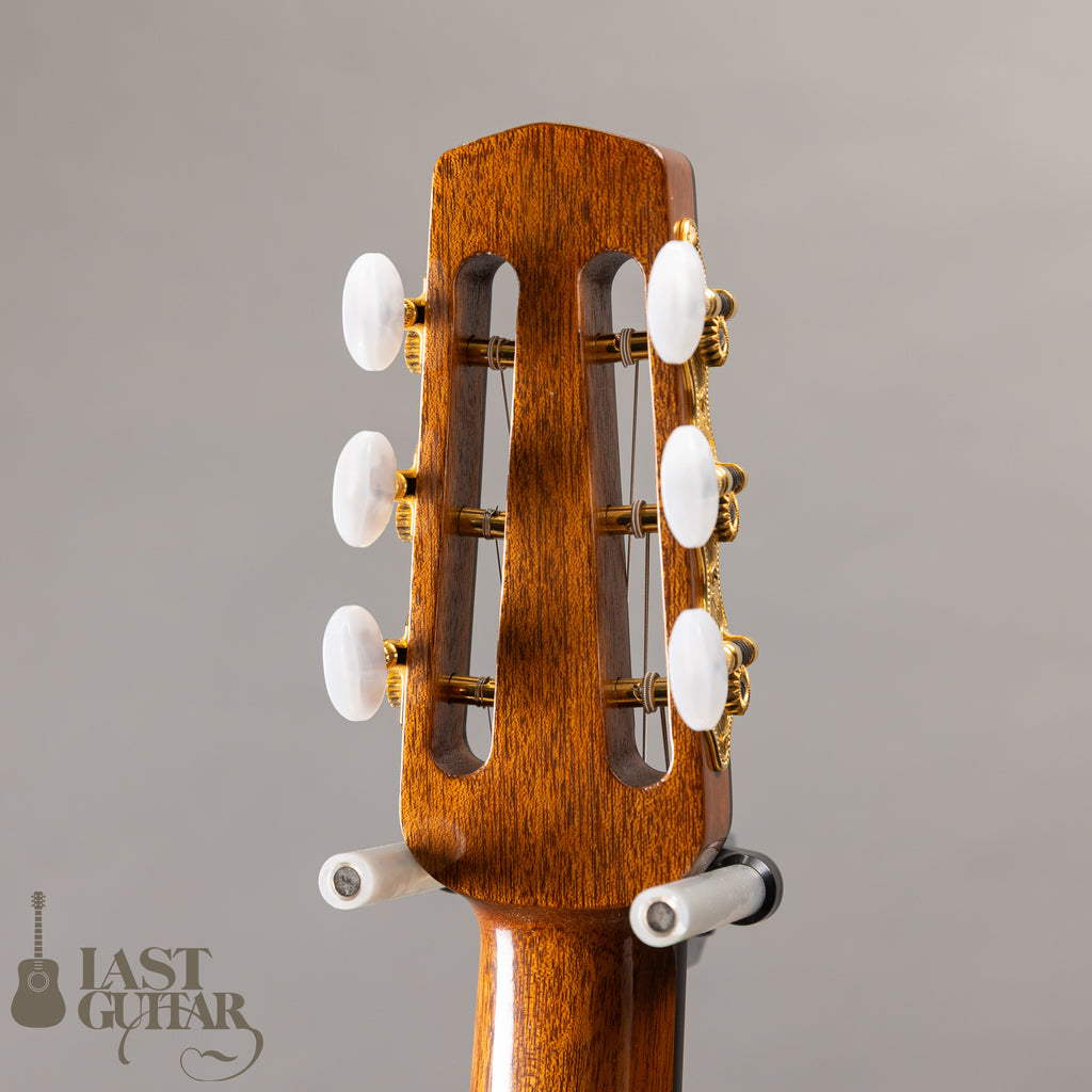 Shelley D. Park Encore Santos Rosewood