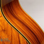 Stringphonic Advanced FVS