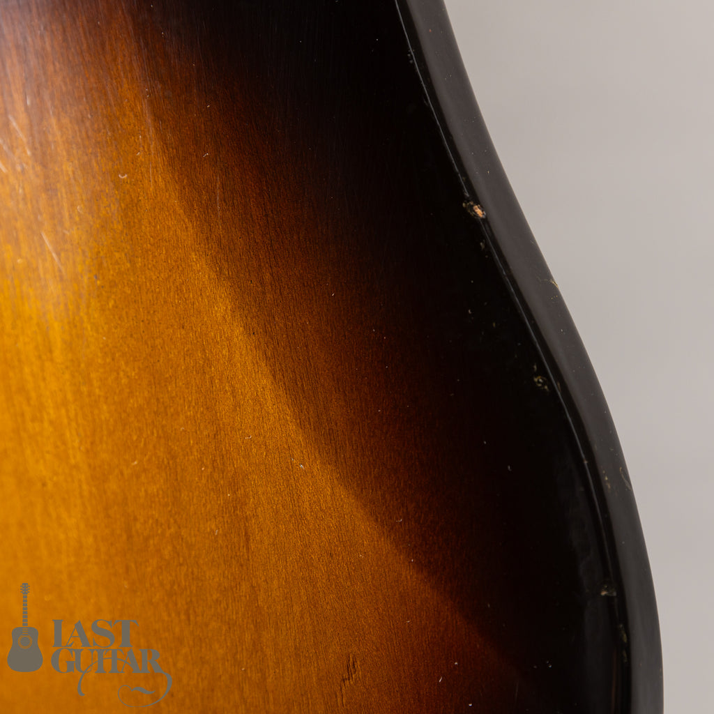 Teisco WG-4L Reborn Custom By Humpback Engineering