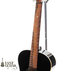 Voyager Guitars VL12