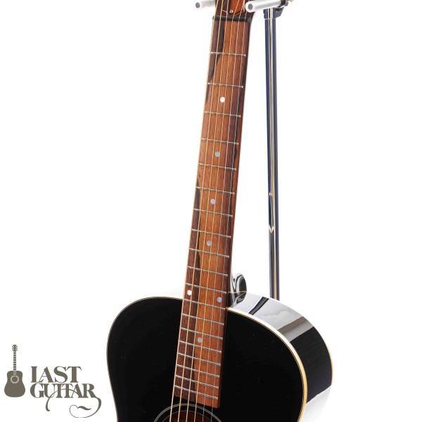 Voyager Guitars VL12