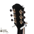 Voyager Guitars VL12