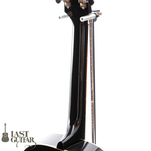 Voyager Guitars VL12