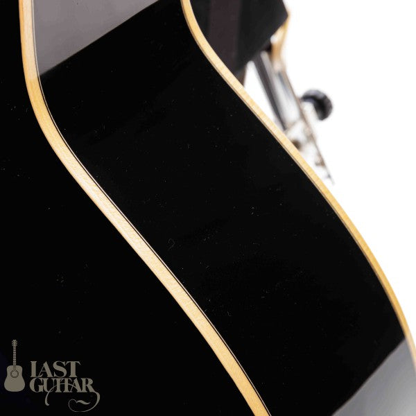 Voyager Guitars VL12
