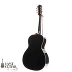 Voyager Guitars VL12