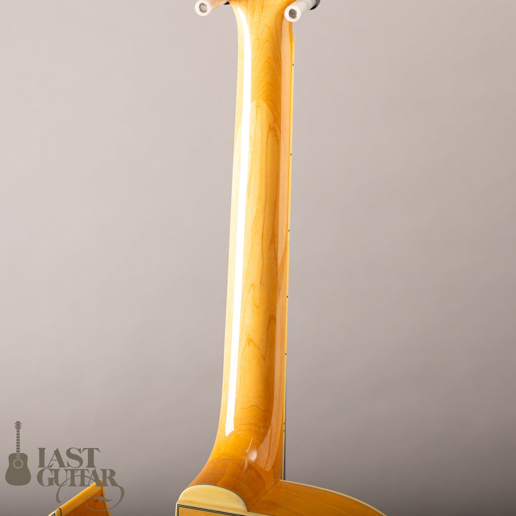 Washburn J3NA