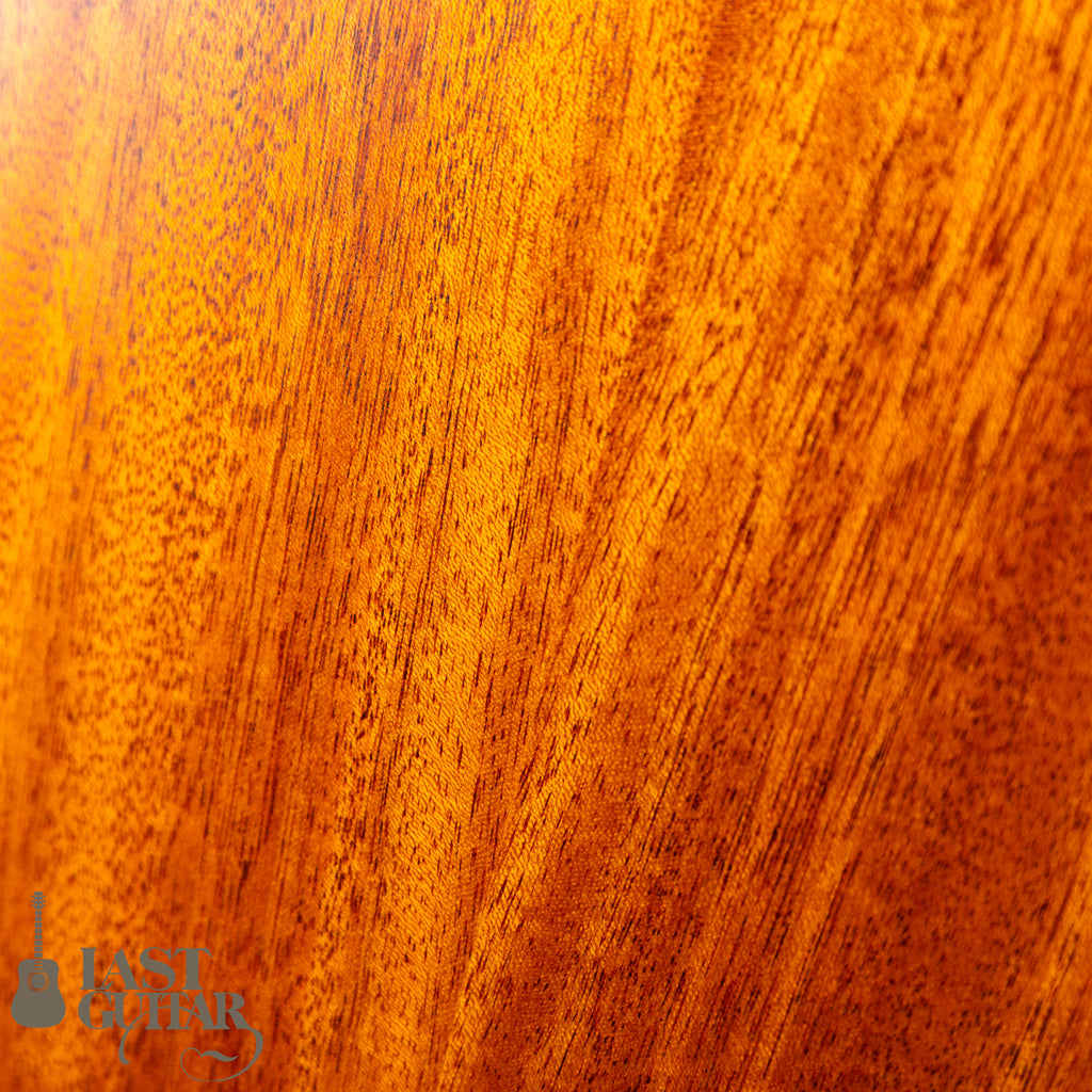aNueNue aNN-N520AC(AUTUMN CEDAR)